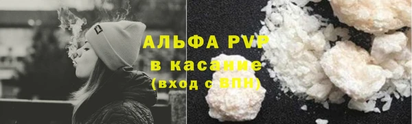 СК Сафоново