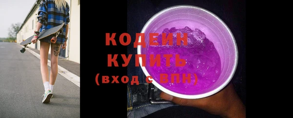 шишки Сатка
