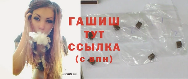 шишки Сатка