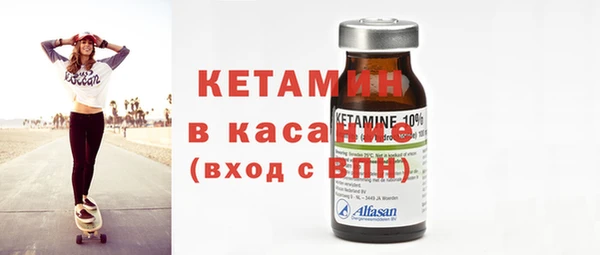 шишки Сатка