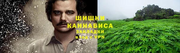 сатива Балабаново