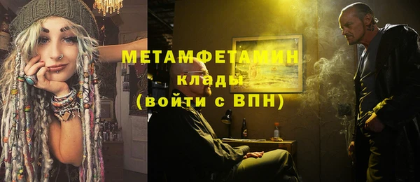 шишки Сатка