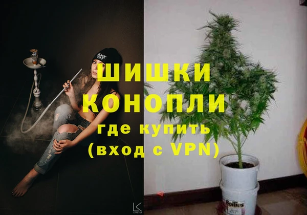 СК Сафоново